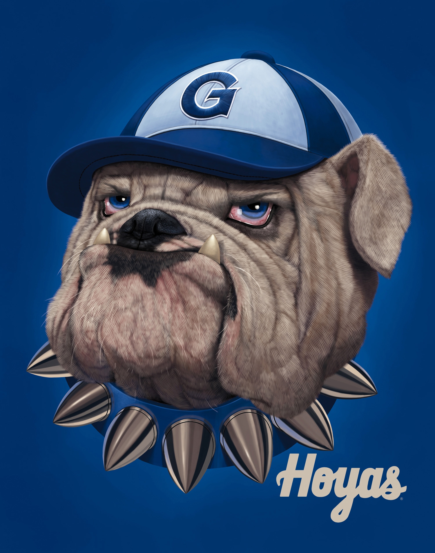 Georgetown University Bulldog