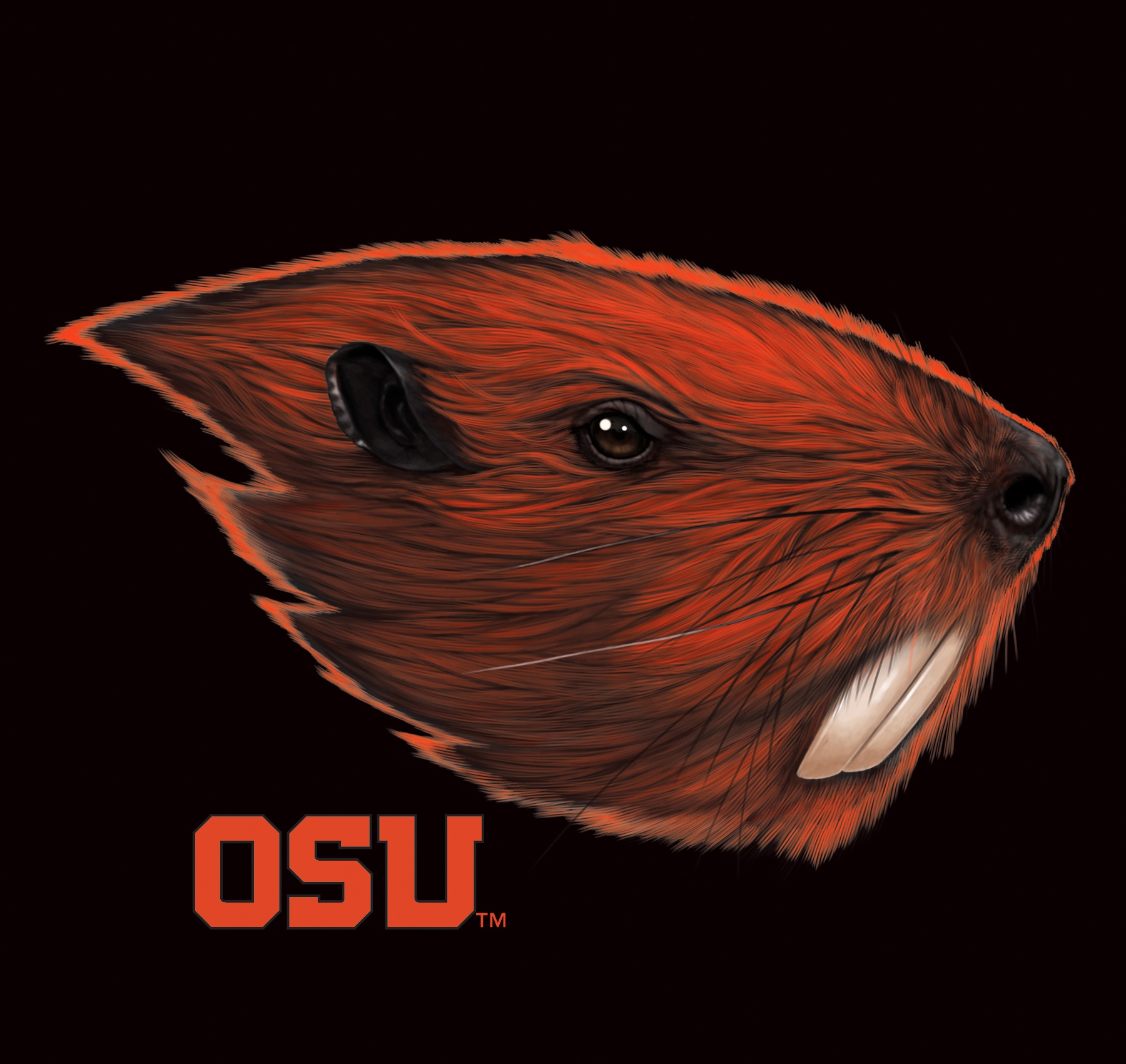 Oregon Beavers