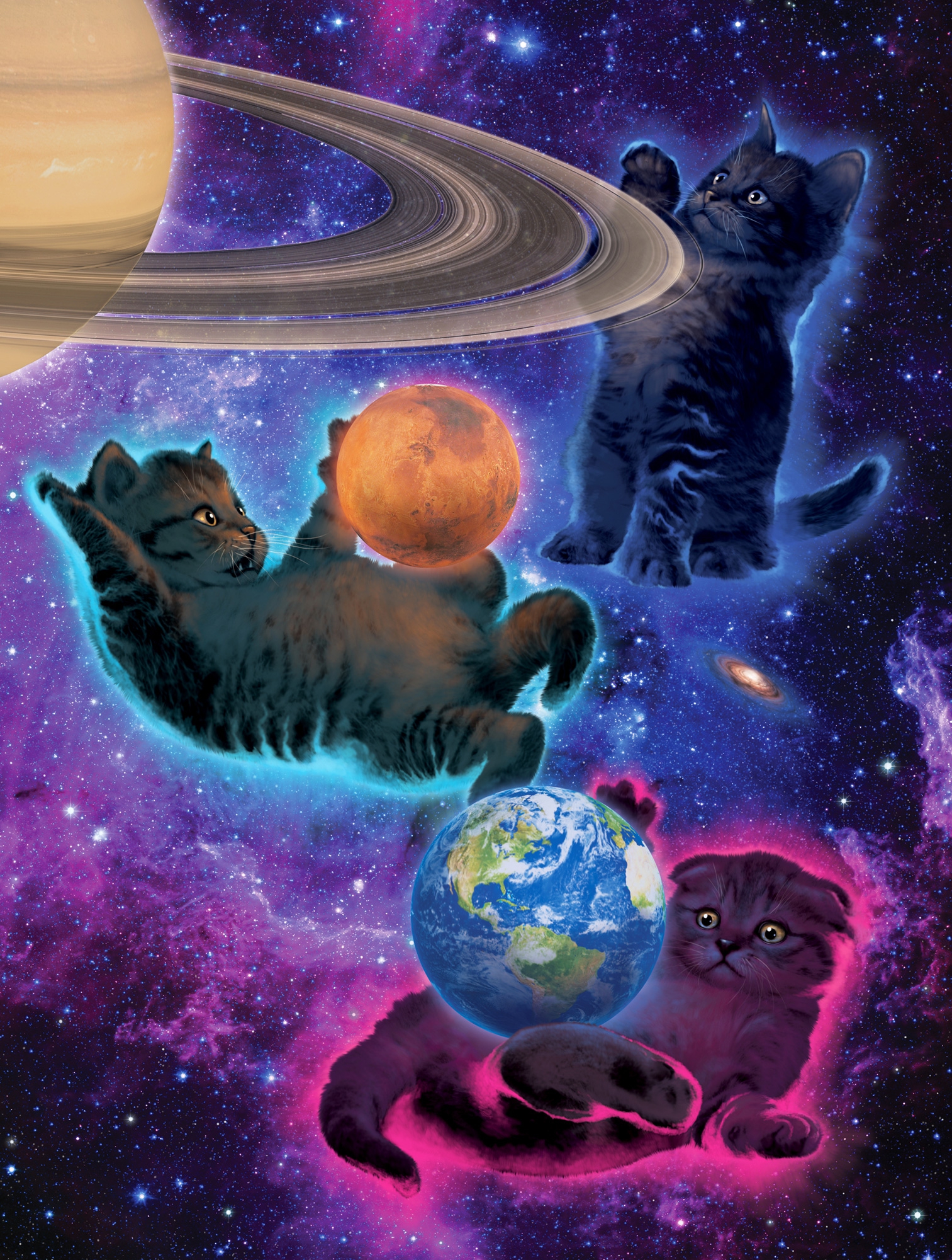 Three Kittens Three Planets