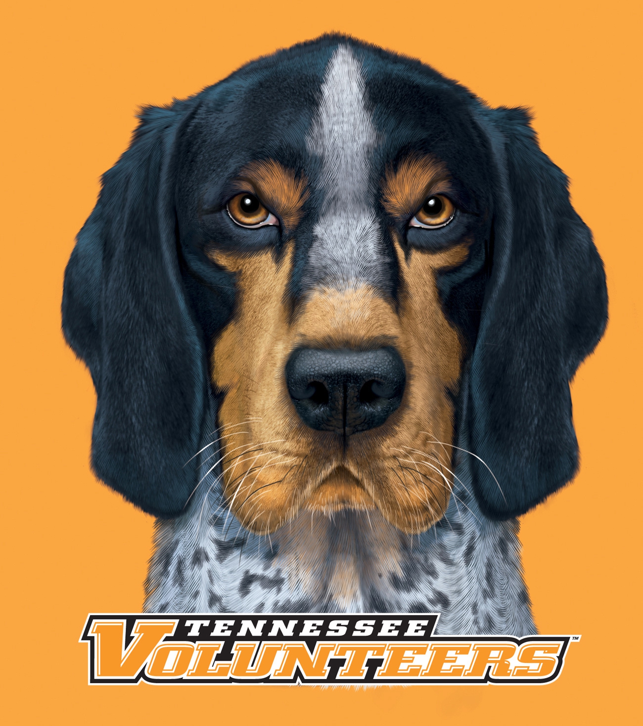 University of Tennessee Bluetick Coonhound