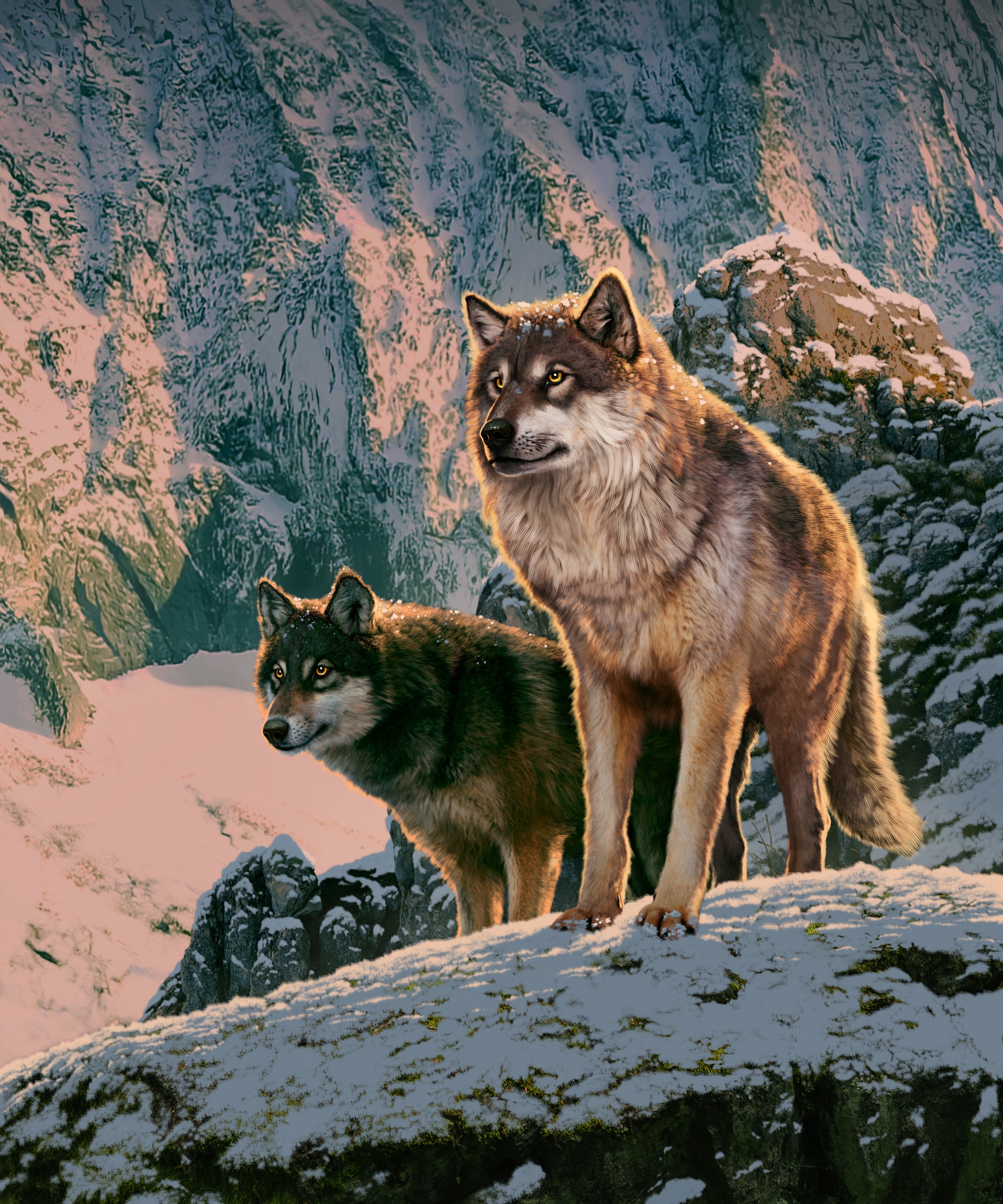 Wolf couple in Sunset