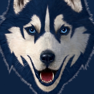 Connecticut Huskies