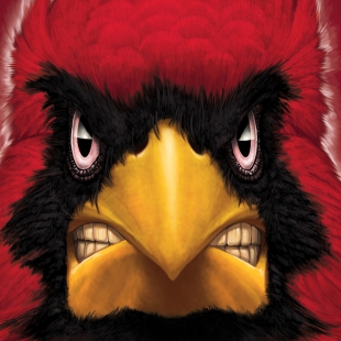 Iowa State Cardinal