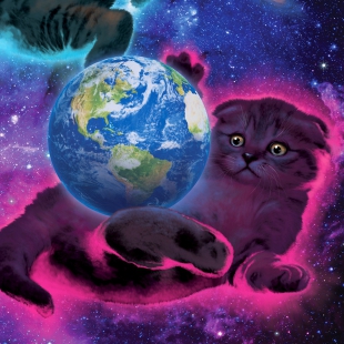 Three Kittens Three Planets